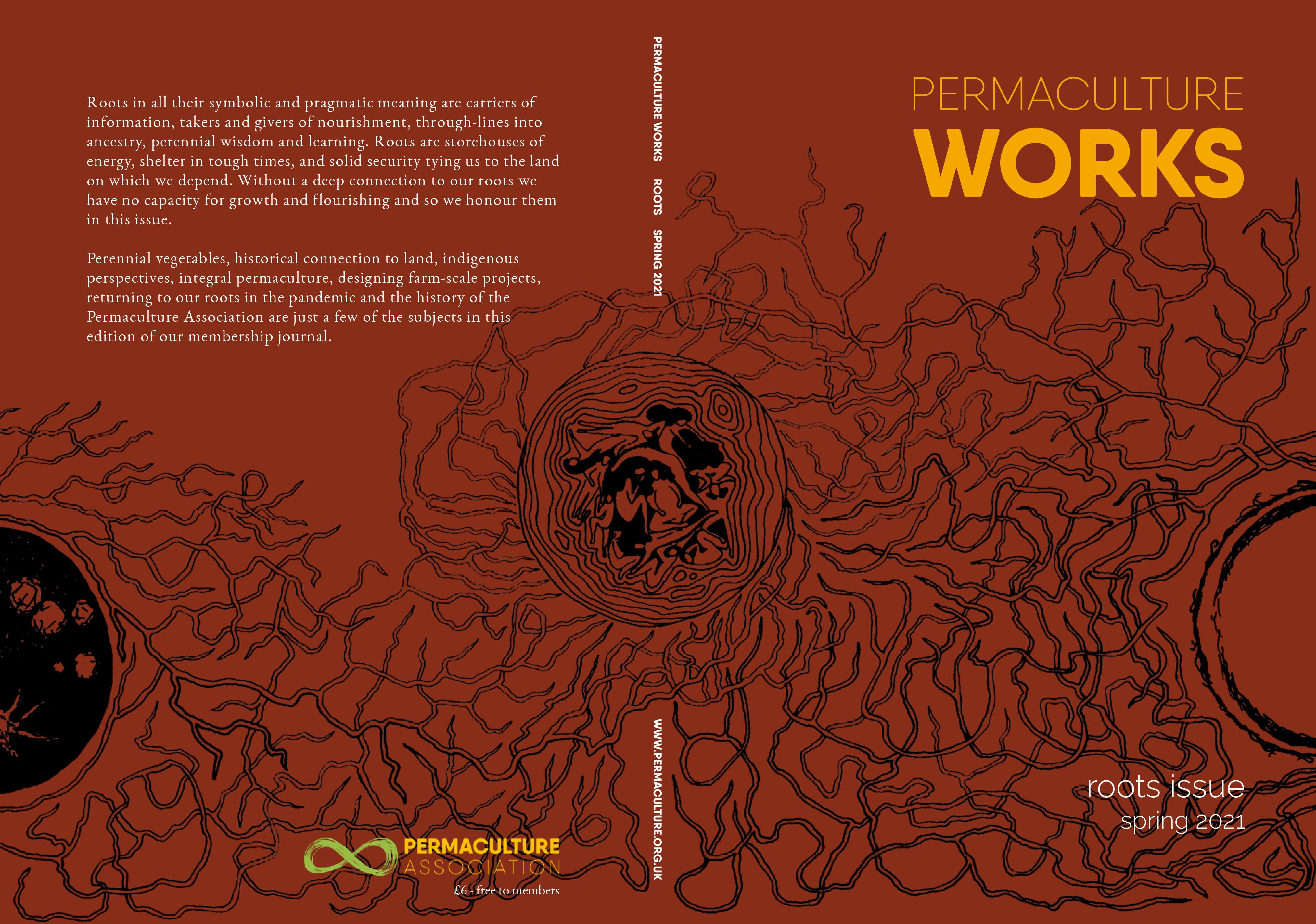 orange pumpkin plants