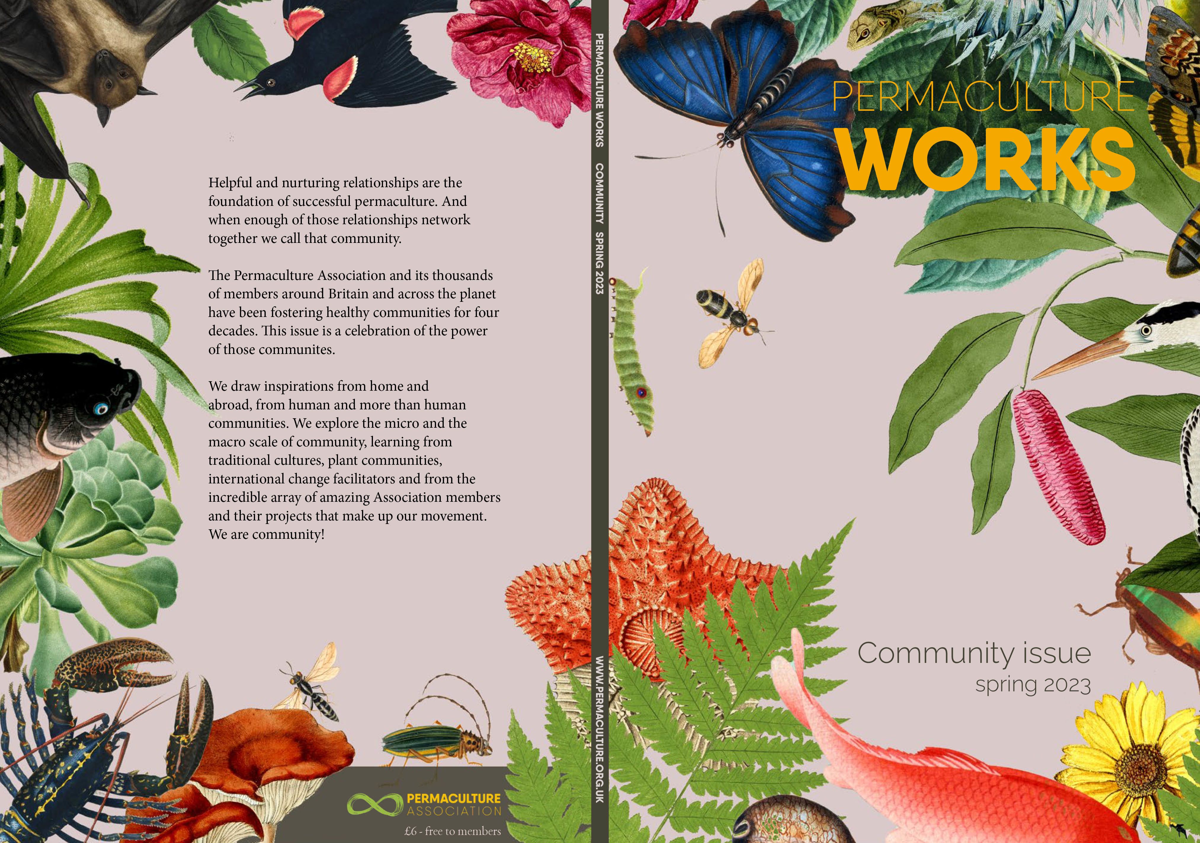 orange pumpkin plants